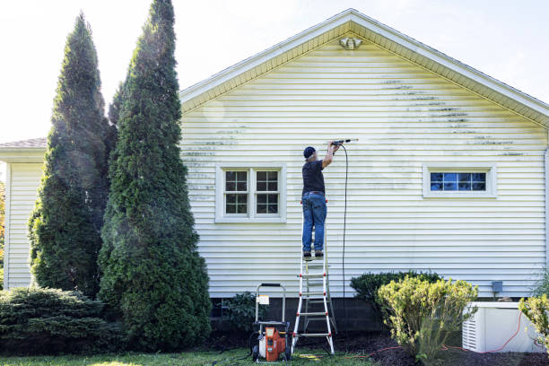 Best Patio and Deck Pressure Washing  in Gentry, AR